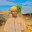 forextradingcompanyblog.wordpress.com favicon