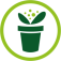graines-semences.com favicon