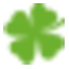 lepullirlandais.com favicon