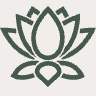 narayana-verlag.de favicon