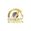 orientdetectors.com favicon