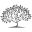 theshuttertree.co.uk favicon