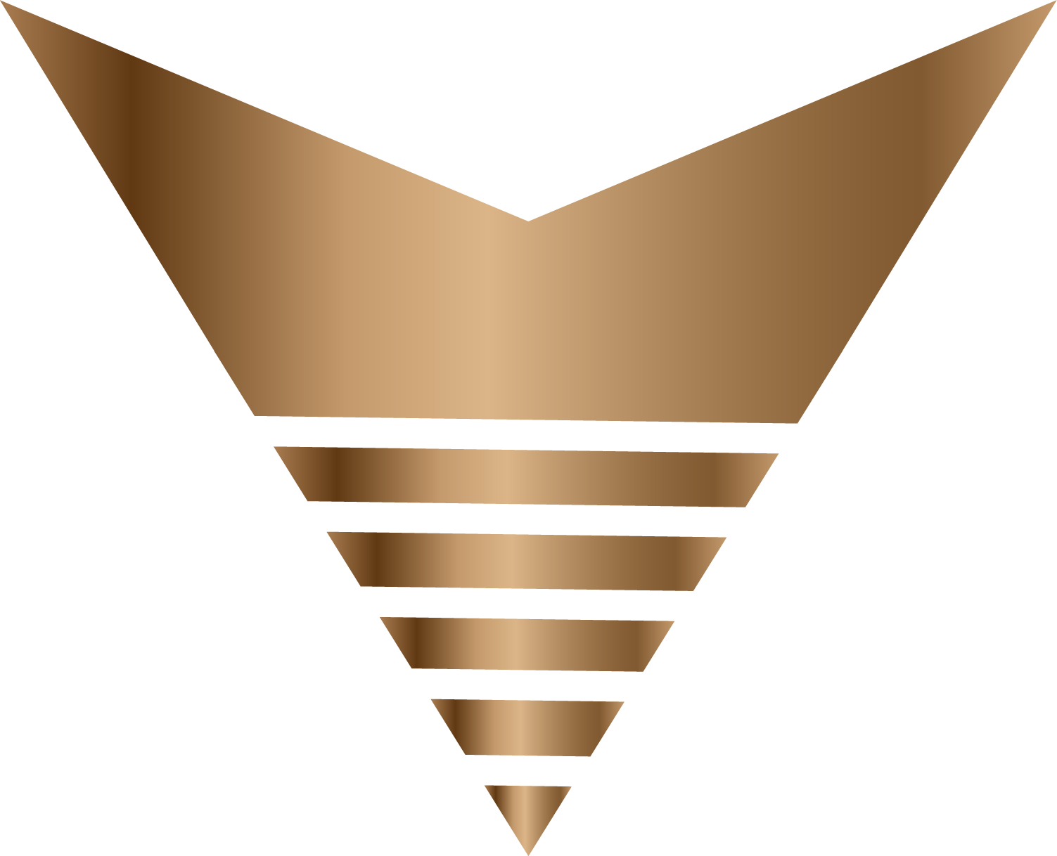 levellaglobal.com favicon