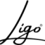 ligo.pet favicon