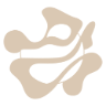 optigin.ai favicon