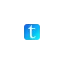 ternvisa.com favicon