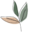 botanicalhealthdispensary.co.uk favicon