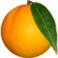 experienciasvalencia.com favicon