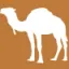morocco-cameltrekking.com favicon