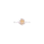 sugarnova.com favicon