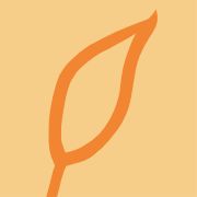 wohngesund.at favicon