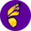 yellowbutterflies.in favicon
