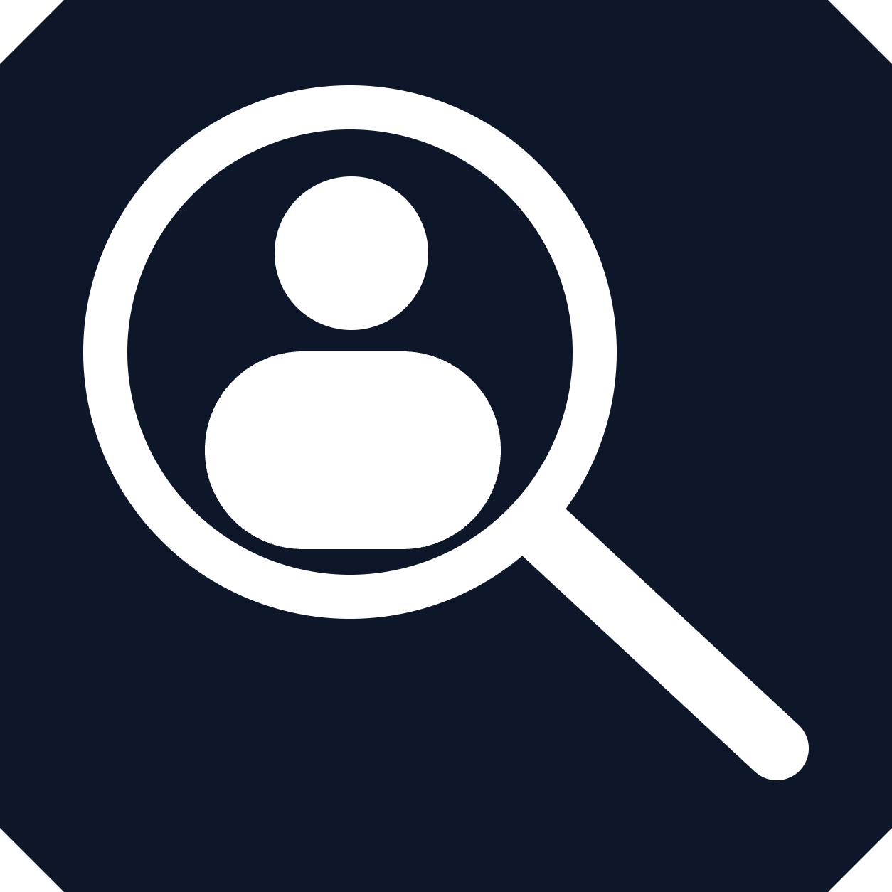 bizentitysearch.com favicon