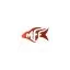 moldforfishing.com favicon