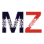 motorzoom.it favicon