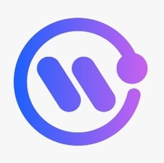 wallstreetfrontier.com favicon