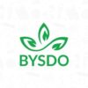 bysdo.org favicon