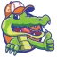crockssports.com favicon