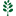 Mate Tee favicon