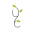 myscrubs.nl favicon