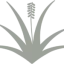 primavida.dk favicon