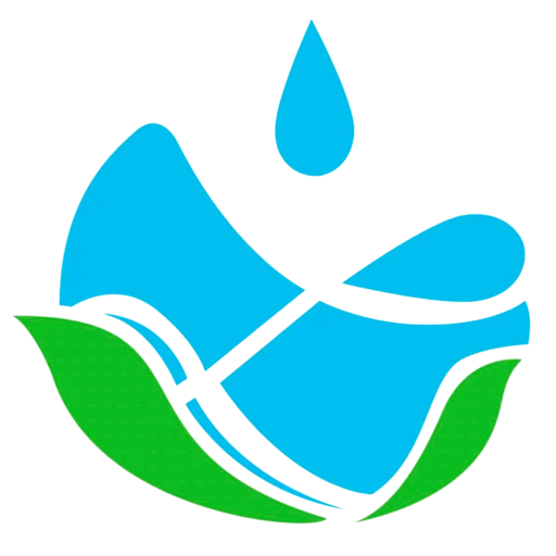 virtusitalia.com favicon
