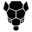 armalytix.com favicon