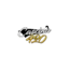 cascina420.it favicon