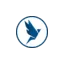 dyversify.com favicon