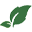 ecostore.ie favicon