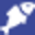 fishbox.co.uk favicon