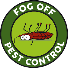 fogoffspain.com favicon