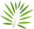 yewtreedentalpractice.co.uk favicon