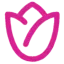 zflowers.com.au favicon