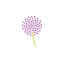 alanmuxlow.co.uk favicon