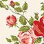 hotelbellora.se favicon