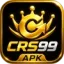 readyrdp.com favicon