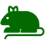 ecosystemsas.it favicon