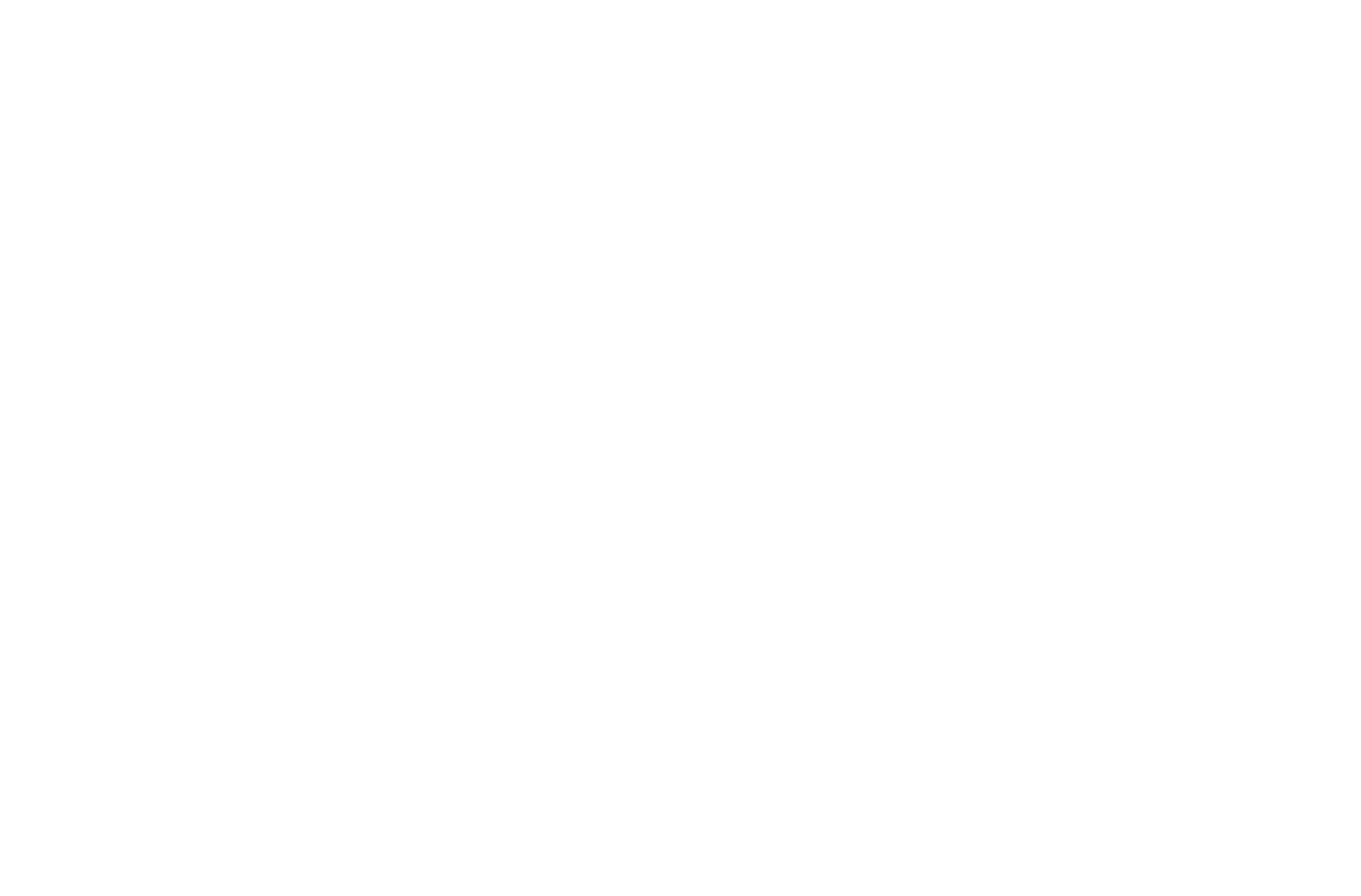 lisasmilestudio.com favicon
