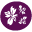 saalhof.nl favicon