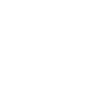 zagerguitar.com favicon