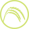 zonnespelt.nl favicon