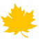 goldenerherbst24.info favicon
