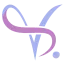vhealthy.fr favicon