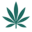 cbdoo.store favicon