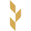 doktar.com favicon