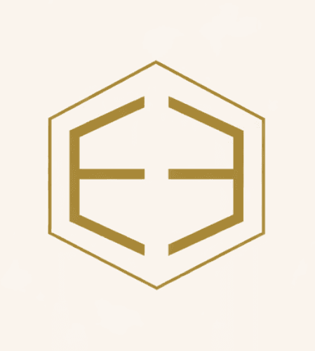 elarianevents.com favicon