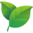 fio-tea.de favicon