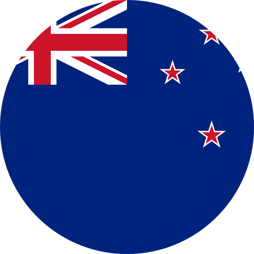 nzonlineslots.casino favicon