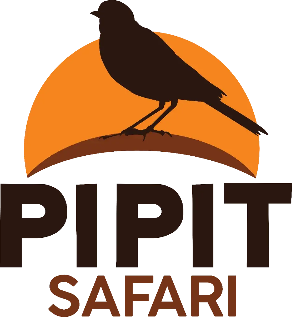 pipitsafari.com favicon